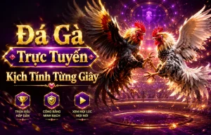Giao diện sảnh Đá Gà gulsendoseme
